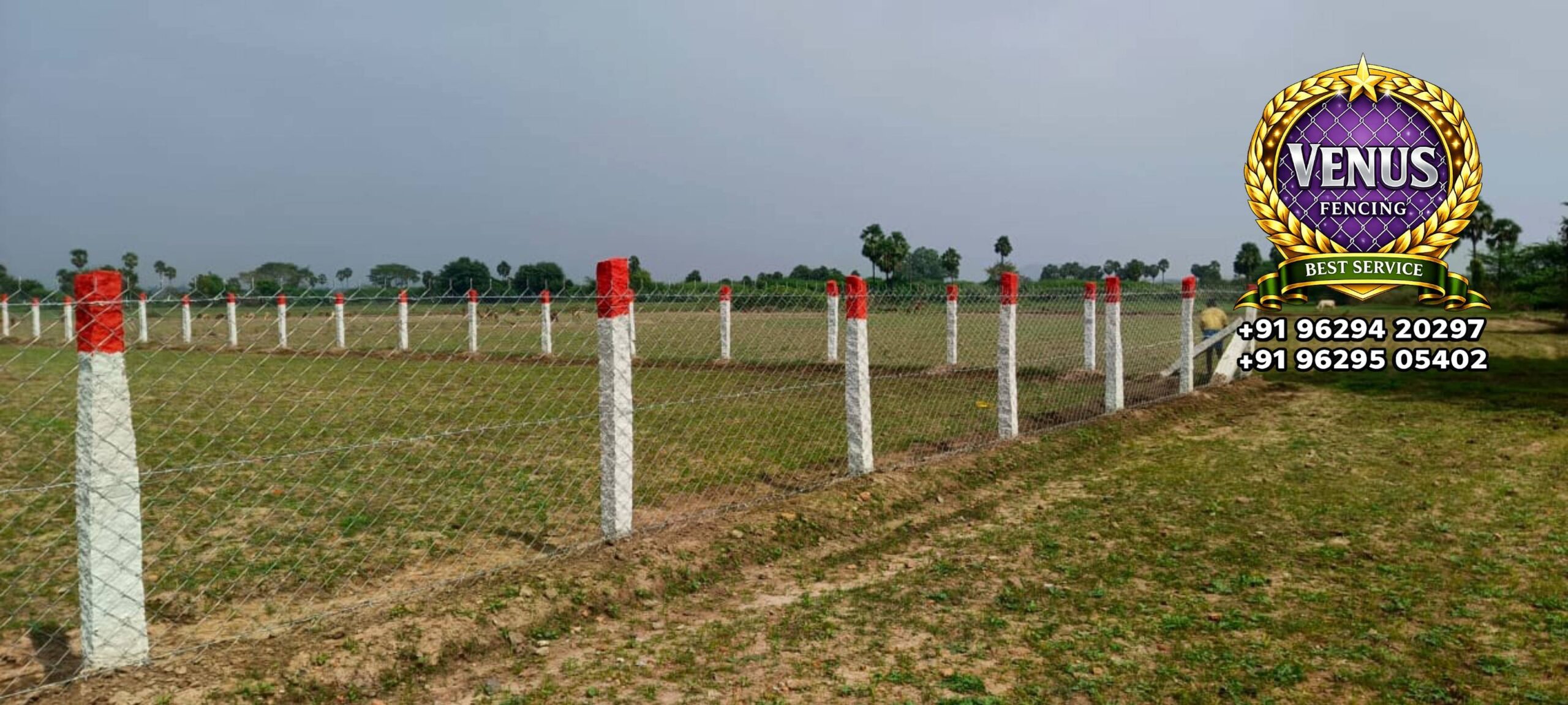 Chainlink Fencing